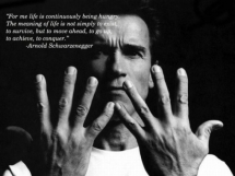 Always Stay Hungry - Quotes