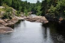 Black River Wilderness Park - Places I've Been