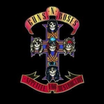 Guns and Roses - Music my 2ed love 
