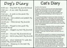 Dog Diary vs. Cat Diary - Funny Pictures