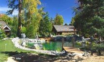Natural Swimming Pond with Dock - summer - Swiming ponds & natural swimming pools