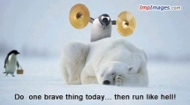 What would you do? - Funny Pictures