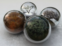 4 Seasons - Interesting Nature
