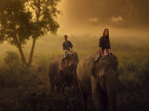 Four Seasons Tented Camp Golden Triangle in Chiang Rai, Thailand - Travel bucket list - Asia