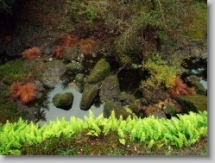 Nature Pictures - Unassigned