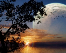 sunset - Pictures