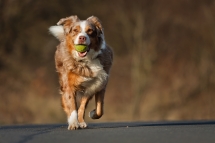 "Streetball" - Photography I love