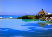 Parrot City - Dream destinations