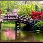 spring bridge - Pictures