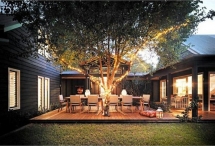 Wooden deck around tree - Outdoor sitting areas