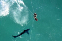 Kitesurfer launches over shark - Kitesurfing