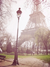 Eiffel Tower - Amazing photos