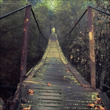 Bridge - Photography I love