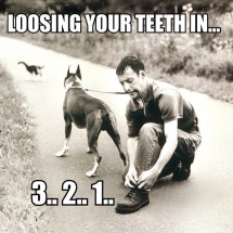 Loosing your teeth in... 3.. 2.. 1.. - Photos of funny things