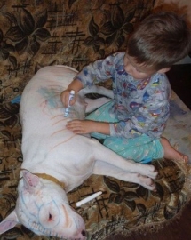 I hope those are washable markers! - Dogs