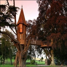 Treehouse - Tree Houses