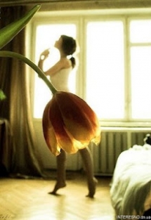 "Petaled Pirouette" - Beautiful Photography