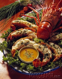 mmmm..... Lobster - Good Eats... Great Drinks!