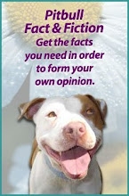 STOP BSL!!! - Dogs