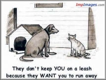 To funny - Funny Pictures