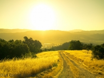 Morning Trail - Photography I love