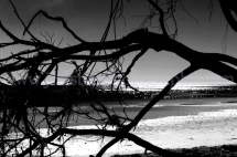 Beach - Black and White Photos