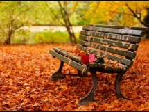 A fall Day! - The great out doors!
