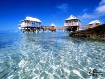 cute or what? - Wouldn't you love it there?