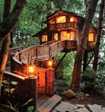 This place puts the 'house' in tree house - Tree houses & tree forts 