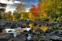 fall - Pictures