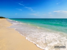 Beach - Beaches