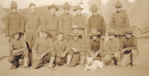 Stubby's Story - Dogs