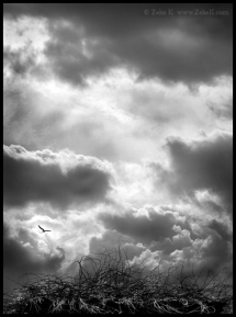 Clouds - Black and White Photos