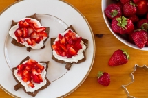 Canada Day Treats - Holidays