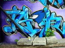 *Jays - *Graffiti 