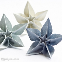 Carambola Flowers - Gift Ideas