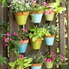 Colourful Pots - Gardens