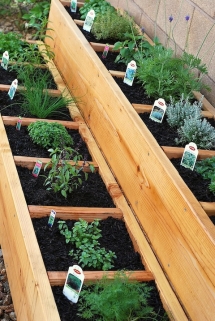 Container Herb Garden - Gardens