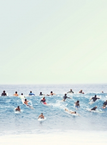 Crowded Ocean - Amazing photos