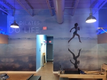 Discover the Beauty of Wall Murals in Dallas - Unassigned