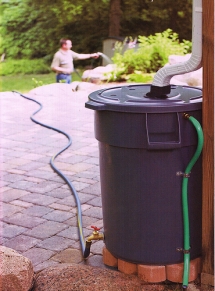 DIY Rain Barrel - For The Home