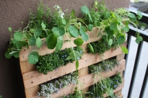 DIY Small Space Pallet Garden - Great Gardening Ideas