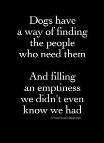 Dog quote - A Dogs Life