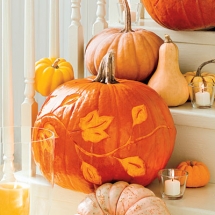Etched Pumpkin - Holidays