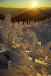 Fernie Alpine Resport, British Columbia, Canada - Skiing Bucket List