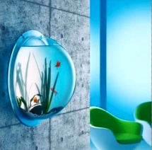 Fish on a Wall - Home decoration