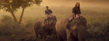 Four Seasons Resort - Golden Triangle - Thailand - Travel