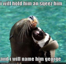 George - Funny Things