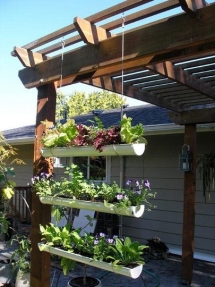 Hanging Gutter Garden  - Gardens