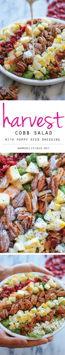 Harvest Cobb Salad - Healthy Food Ideas